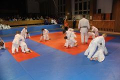 Judo_-045