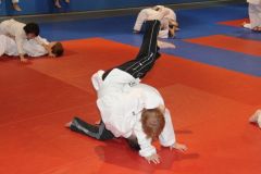 Judo_-049