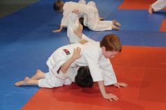 Judo_-053