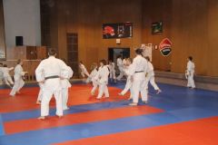 Judo_-073