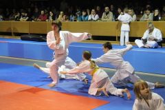 Judo_-079