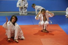 Judo_-094