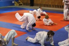 Judo_-098