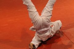 Judo_-099
