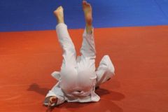 Judo_-100