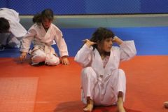 Judo_-101