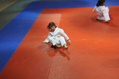 Judo_-104