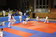 Judo_-107
