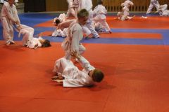 Judo_-124
