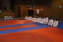 Judo_-152
