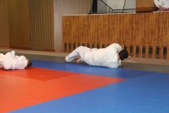 Judo_-198