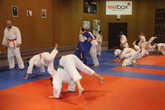 Judo_-201
