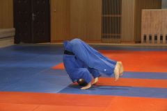 Judo_-205