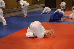 Judo_-209