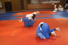 Judo_-211