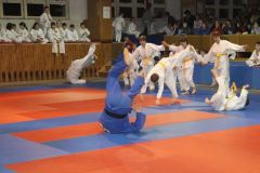 Judo_-217