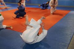 Judo_-220