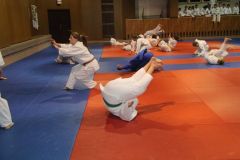 Judo_-221