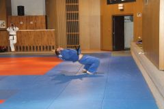 Judo_-224