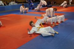 Judo_-225