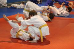 Judo_-227