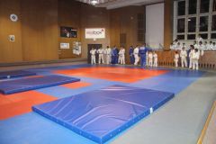 Judo_-230