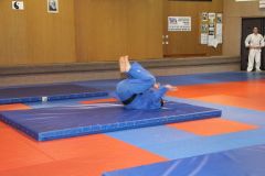 Judo_-231