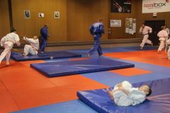 Judo_-234