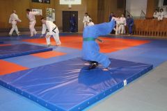 Judo_-235