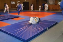 Judo_-236