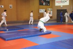 Judo_-237