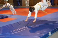 Judo_-239