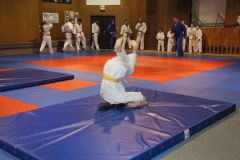 Judo_-241