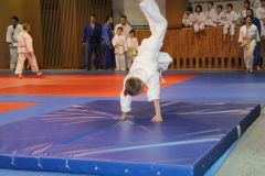 Judo_-245