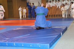Judo_-247