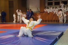 Judo_-248