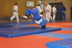 Judo_-249