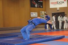 Judo_-250