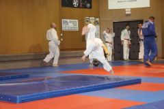 Judo_-251