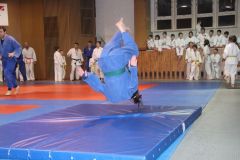 Judo_-256