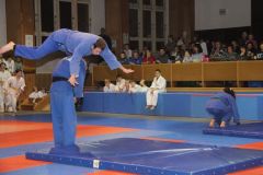 Judo_-264
