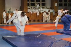 Judo_-265