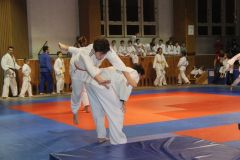 Judo_-270