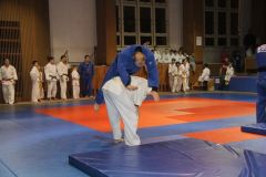 Judo_-278