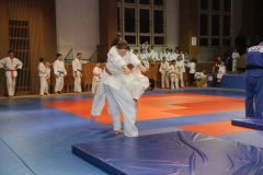 Judo_-280