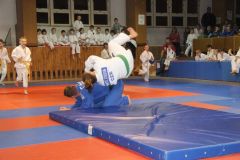 Judo_-285