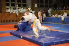 Judo_-288