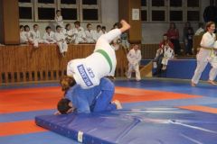 Judo_-296