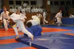 Judo_-300