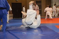 Judo_-313